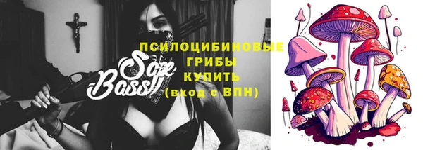 спайс Бородино