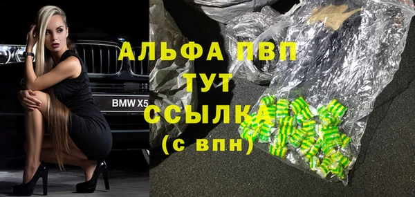 спайс Бородино